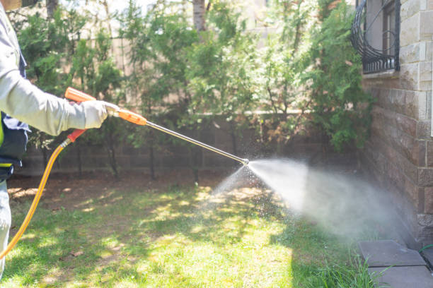 Best Residential Pest Control  in Albemarle, NC