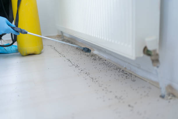 Best Cockroach Control Services  in Albemarle, NC